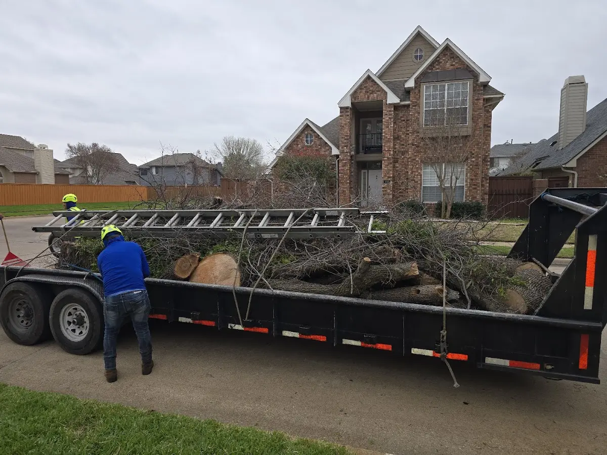 Expert Tree Removal with proper safety equipment in High Falls